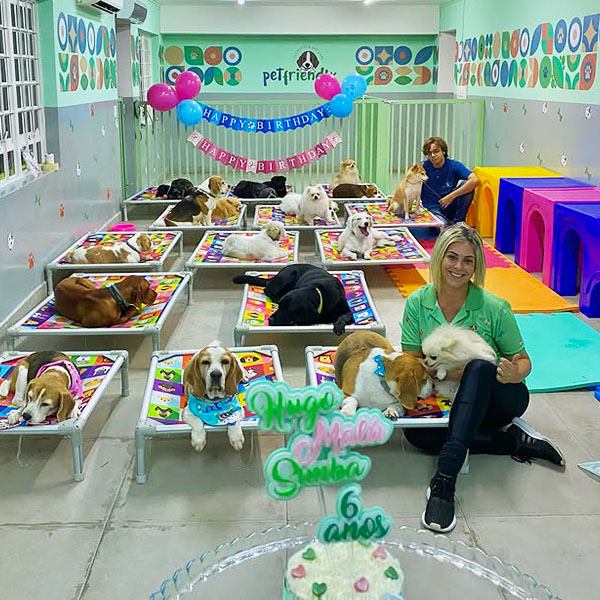 cuidados para cães em Pinheiros