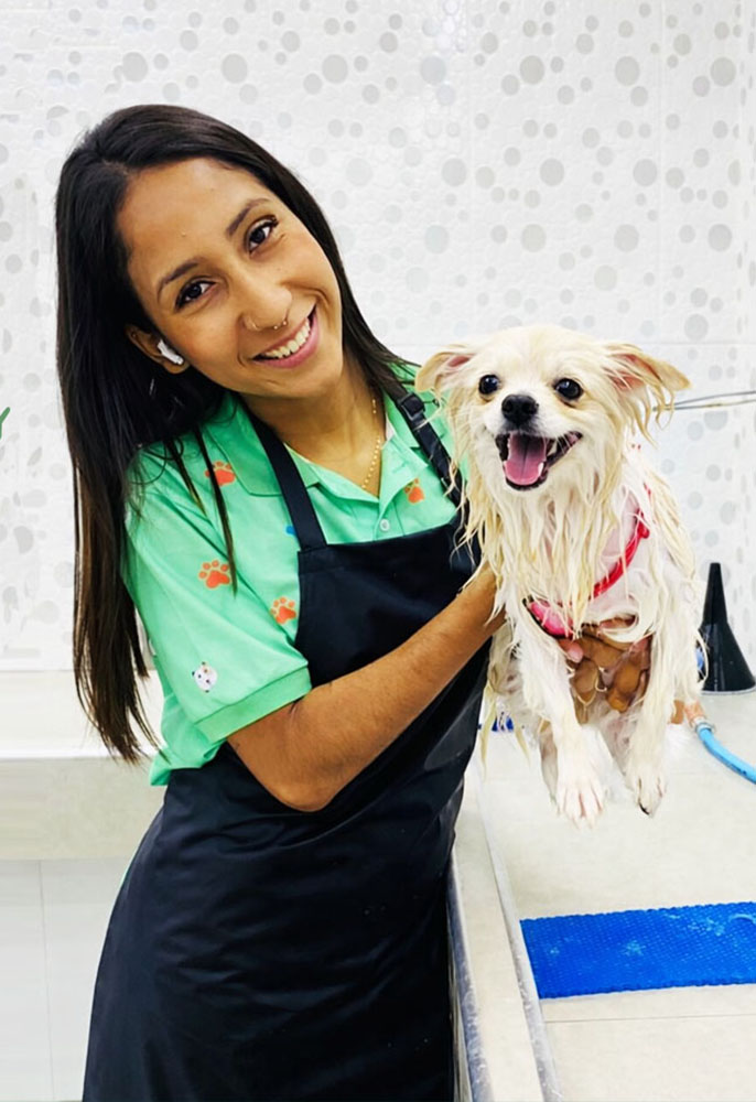 banho e tosa pet friendly pinheiros