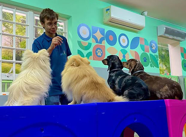 Creche para Cachorro Pet Friendly Pinheiros